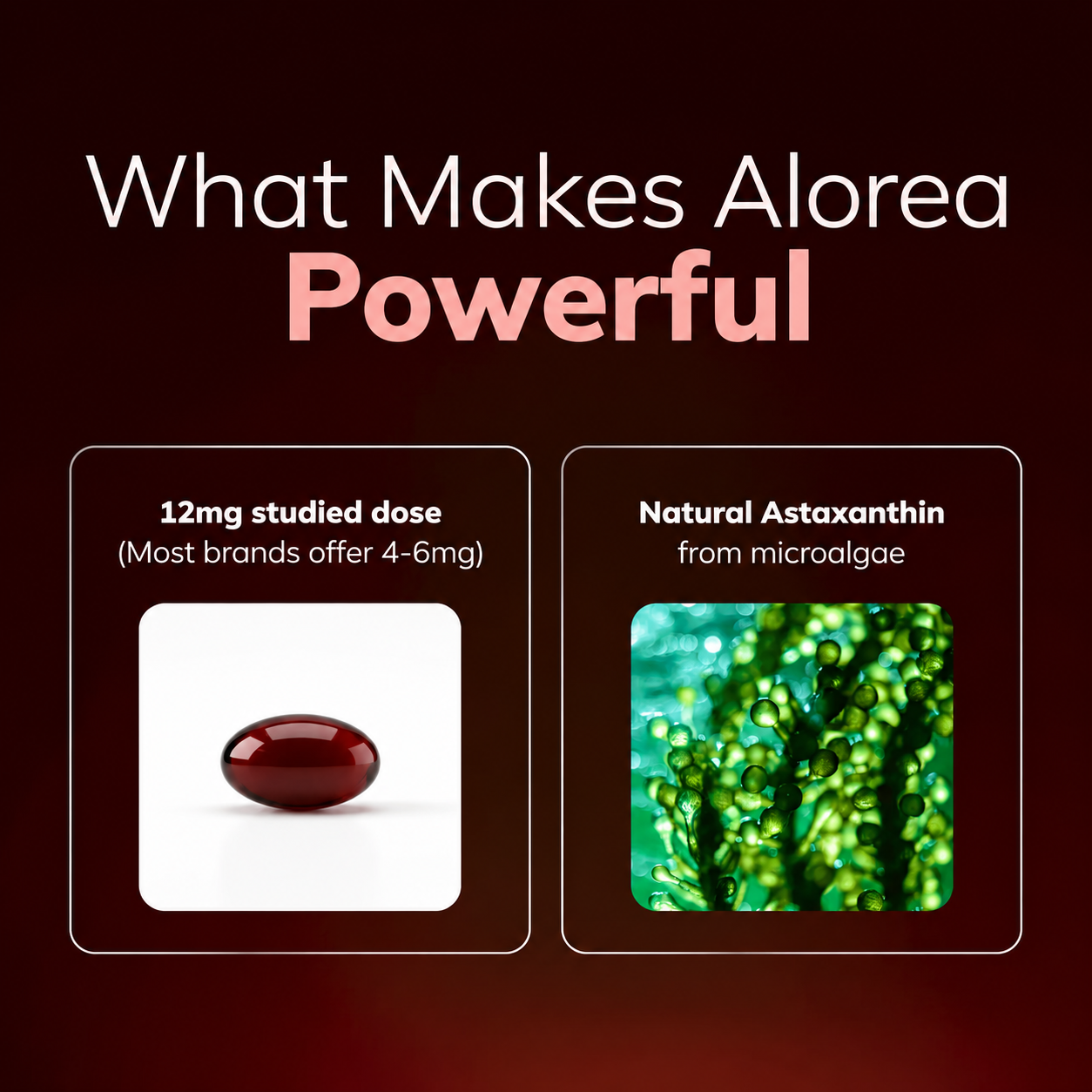 Alorea Astaxanthin 12mg