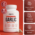 Odorless Garlic Extract Capsules